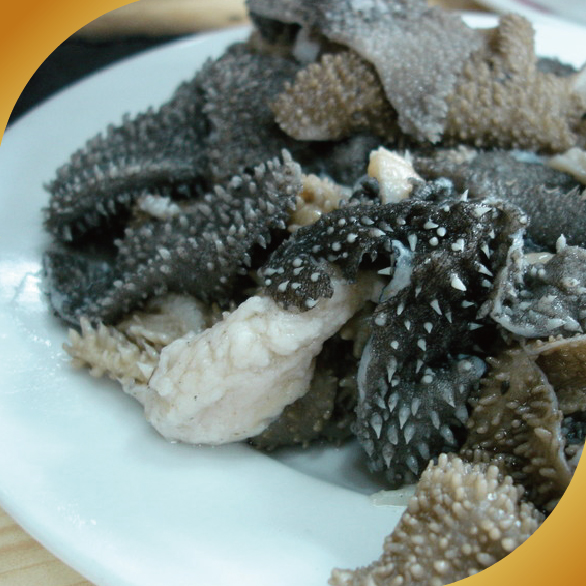 黑柏葉