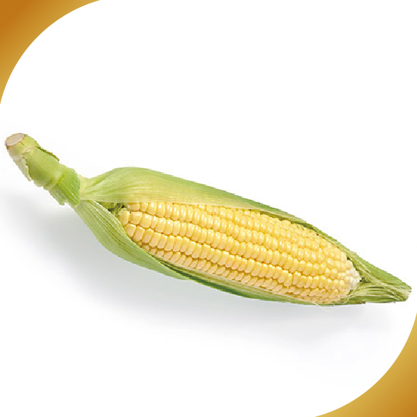 粟米(原條切3份)