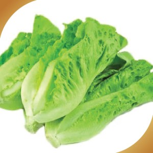 唐生菜(每半斤)